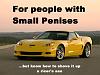 More Motivational Posters - DO NOT QUOTE PICS!-corvettez0606_04_1024.jpg