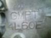 GMPT????????? What does it mean?-lots-stuff.-040.jpg