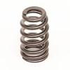 Trick Flow Pacaloy Valve Springs-springs.jpg