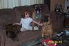 Bullmastiff puppies ready for xmas!!!-100_1746.jpg