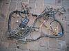 Front wiring harness for 1994/95 Trans Am-transam_front.jpg