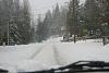 Some pics of the Snow from today.-_mg_9181.jpg