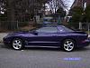 Post Up Purple Camaro/Trans Ams-picture-trans-am-083.jpg