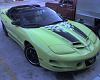 Viper Snake Skin Green-green.jpg