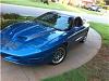 Jetstream Blue on a Trans Am-car3.jpg