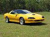 Yellow F-Bodies?-120_2004_img.jpg