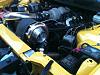 Yellow F-Bodies?-photo2-1.jpg