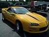 Yellow F-Bodies?-dscf1444.jpg