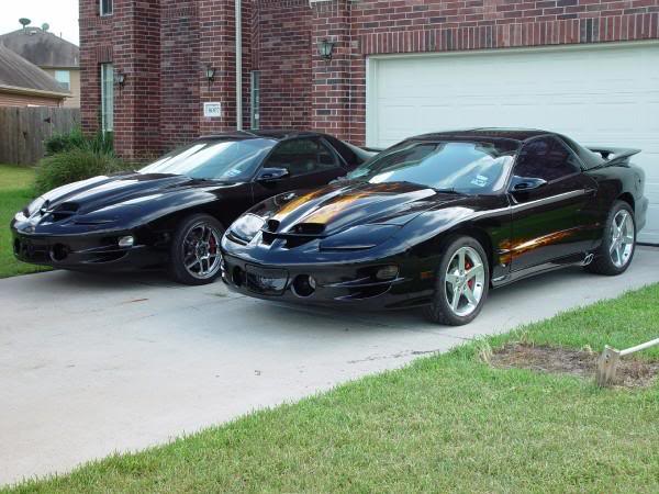 What Is The Blackest Of Black Paint? - LS1TECH - Camaro and Firebird Forum  Discussion