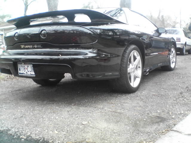 What Is The Blackest Of Black Paint? - LS1TECH - Camaro and Firebird Forum  Discussion