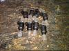 42lb delphi injectors-img00069-20110801-1939.jpg