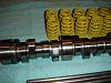 LS6 Z06 Camshafts &amp; Springs-dsc03663.jpg