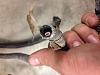 6.0 Wiring harness 2002 chevy 2500 0411-photo-3.jpg