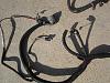 ls1 intake, 853 heads, and 5.3/4l60e wiring harness/ecu-dsc02945.jpg