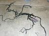 2002 SS T56 LS1 Harness-harness1.jpg