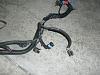 2002 SS T56 LS1 Harness-harness12.jpg