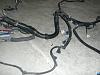 2002 SS T56 LS1 Harness-harness13.jpg