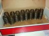 valve springs-ls1-springs.jpg