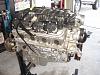 Two LS1 Engines And A Mock Up Block &amp;  f-body Oil Pan-dsc04581.jpg