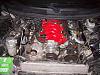 LS6 Intake Manifold for sale-102_0094.jpg