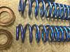 Solid roller cam KAUFFMANN valve springs ign coils front drag springs pushrods-springs-ei.jpg