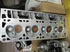 New 241  LS1 heads-ls1-heads.jpg