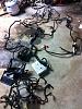 LQ4 parts and harness price drop-saylor-iphone-646.jpg
