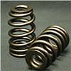 PAC 1218 Valve springs-278-2.jpg