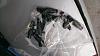 Ls1 intake, stock injectors,TB, and coolant pipe 120 obo-wp_20140428_010-1-.jpg