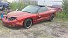 2001 Pontiac Firebird SOM Y87 Parts-2014061995082848.jpg