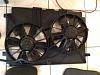 stock fans-photo-5.jpg