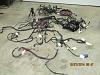 2005 gto complete body and engine harness-001.jpg