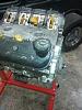 2000 Ls1 Long Block w/241 heads-ls1-2.jpg