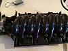 LS6 intake, Rails, Injectors, Throttle bodies-image-3804221468.jpg