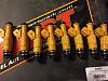 30lb Flow Matched / Cleaned Injectors-img_0167.jpg