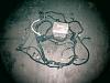 LS1/T56 harness-ls1t56-harness-ecu-3-18-2-.jpg