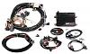 Holley HP EFI 550-602 and Aux harness 558-400-71yuq-umfwl._sl1500_.jpg