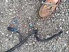 LS1 | T56 Engine Wiring Harness-img_3835.jpg