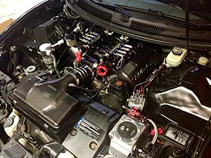 Nitrous Outlet GM 98-02 F-Body Dedicated Fuel System-installed_1.jpg