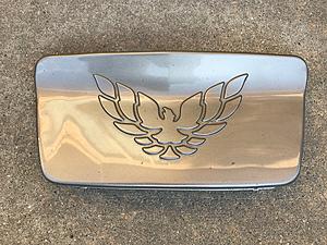 98-02 Firebird front license plate cover- Pewter-img_1927.jpg