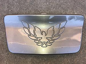 98-02 Firebird front license plate cover- Pewter-img_1931.jpg