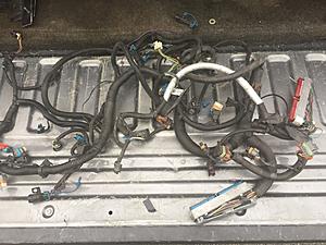 2001 Fbody engine harness-img_1723-002-.jpg