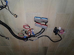 dbc LS 4.8/5.3/6.0 engine standalone swap harness-20171022_233727-1-.jpg