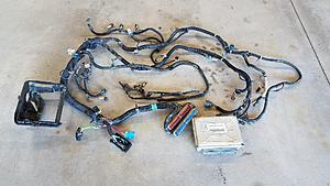 2002 Truck Engine Harness with 411 PCM (Pics) SOLD!-harness-pcm-1.jpg