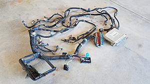 2002 Truck Engine Harness with 411 PCM (Pics) SOLD!-harness-pcm-3.jpg