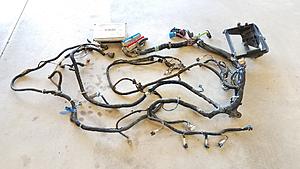 2002 Truck Engine Harness with 411 PCM (Pics) SOLD!-harness-pcm-6.jpg