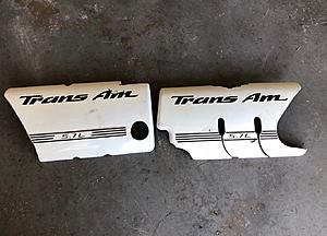 Trans am Fuel rail covers! custom-s-l1600.jpg