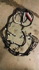 Garage Cleanout-lt-ls-conversion-harness-2.jpeg