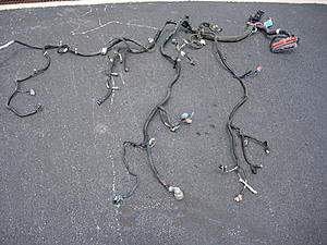 2 sets D585 coil packs s &amp; Engine Wiring Harness-dscn5615.jpg