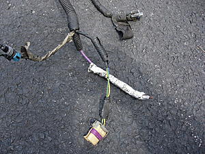 2 sets D585 coil packs s &amp; Engine Wiring Harness-dscn5618.jpg